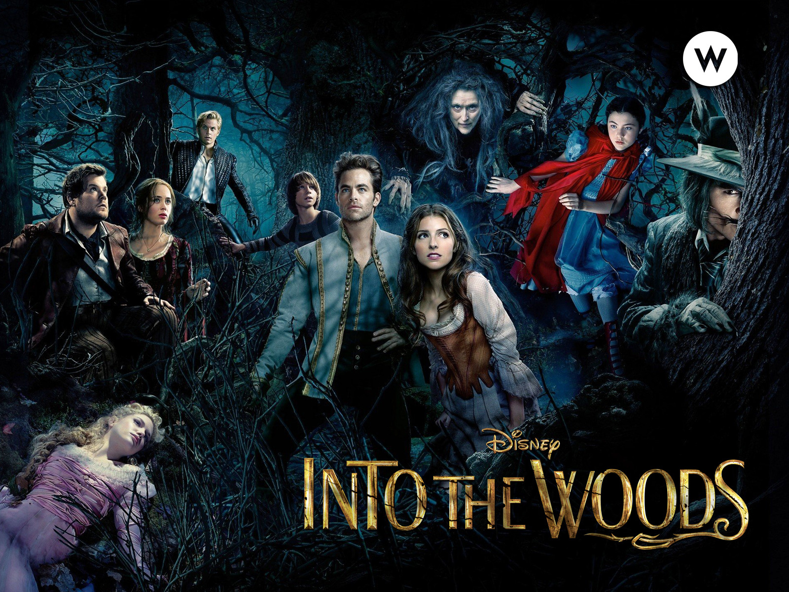 หนังน่าดู :  Into the Woods  อินทู เดอะ วู้ด
